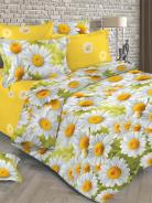 КПБ Перкаль - Русское поле - фото