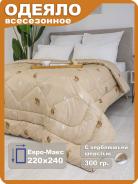 Одеяло ОТВШ-24/ч - фото