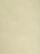 Подушка "Рабица" 50*70* - фото 4