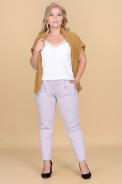 Брюки 4475 светло-серый Брюки 4475 светло-серый - фото